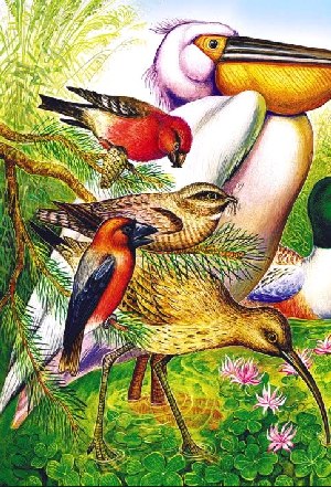 Все птицы выстроились в ряд