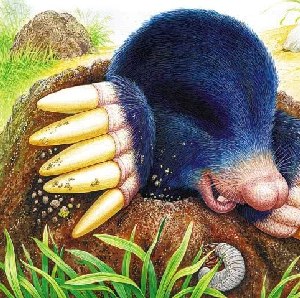 Крот вылезает из-под земли