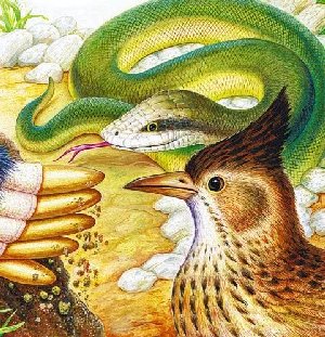 Крот зарылся в землю