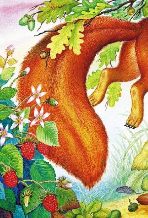 Белка-Векша по веткам прыгает