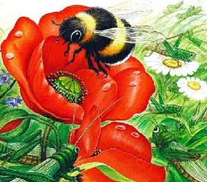 Кто чем поет?&nbsp;— Бианки В.В.