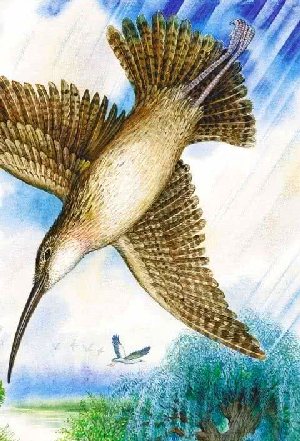 Кто чем поет?&nbsp;— Бианки В.В.