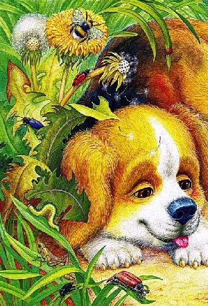 Первая охота&nbsp;— Бианки В.В.