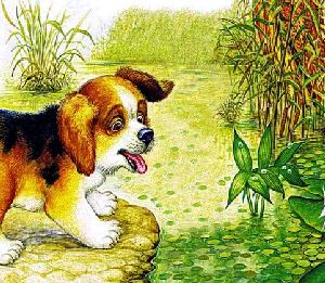 Первая охота&nbsp;— Бианки В.В.