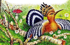 Первая охота&nbsp;— Бианки В.В.