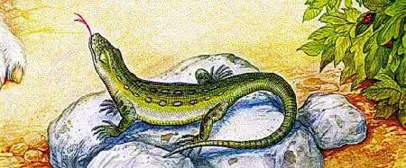 Первая охота&nbsp;— Бианки В.В.