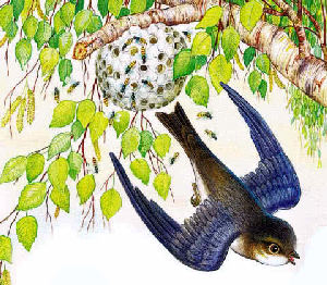 Лесные домишки&nbsp;— Бианки В.В.