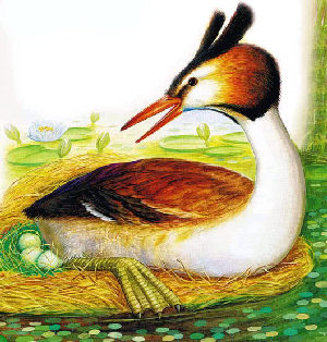 Лесные домишки&nbsp;— Бианки В.В.