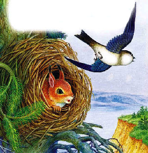 Лесные домишки&nbsp;— Бианки В.В.