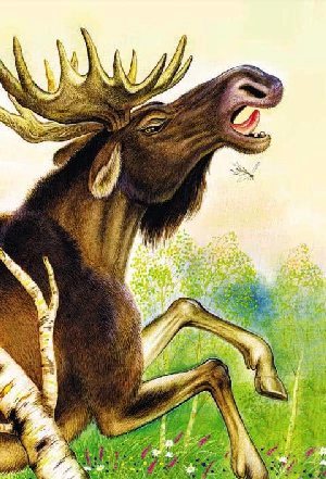 Росянка&nbsp;— комариная смерть&nbsp;— Бианки В.В.