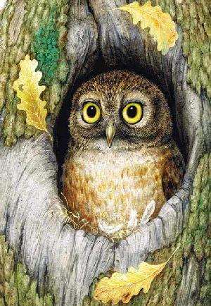 Теремок&nbsp;— Бианки В.В.