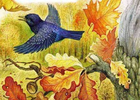 Теремок&nbsp;— Бианки В.В.