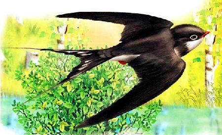 Красная горка&nbsp;— Бианки В.В.