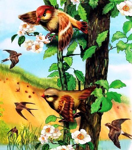 Красная горка&nbsp;— Бианки В.В.