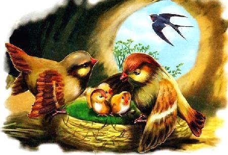 Красная горка&nbsp;— Бианки В.В.