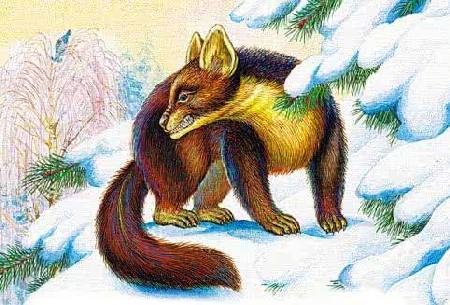 Терентий-тетерев&nbsp;— Бианки В.В.