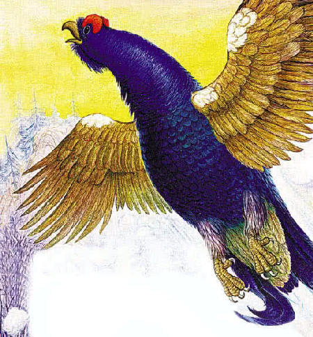 Терентий-тетерев&nbsp;— Бианки В.В.