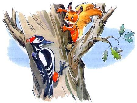 Белка Ленка дятел и орешек